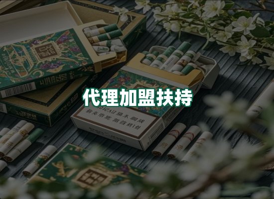 核心优势